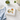 Linen-Feel Lunch Napkins, Bar Cart