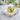 Acrylic Napkin Weight, Lemons