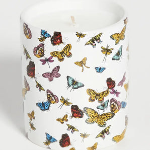 Butterfly Candle, Medium