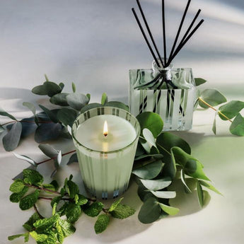 Wild Mint & Eucalyptus Candle. Nest fragrances.